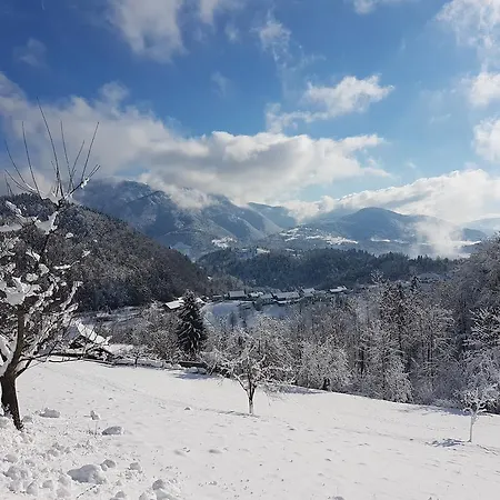 Apartamento Turizem Pavlin Senturska Gora