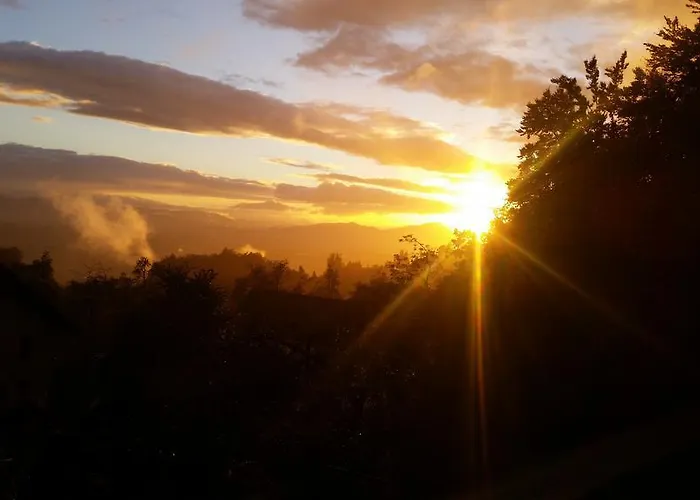 Turizem Pavlin 아파트 Senturska Gora